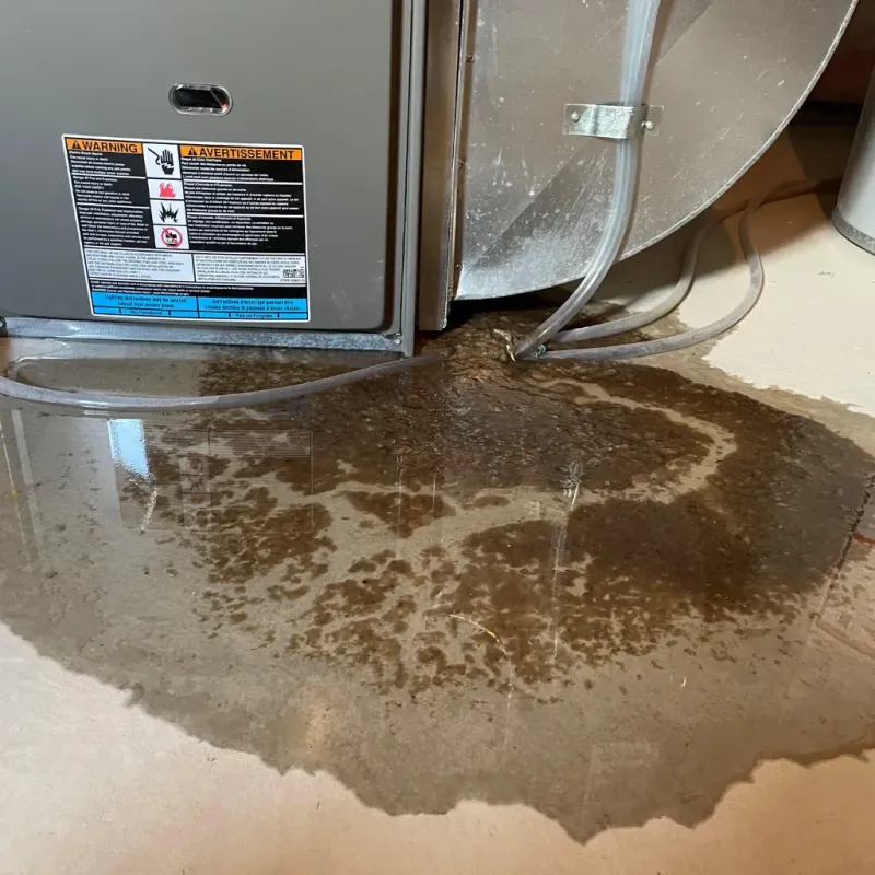 Appliance Leak Cleanup in Wedgefield, FL